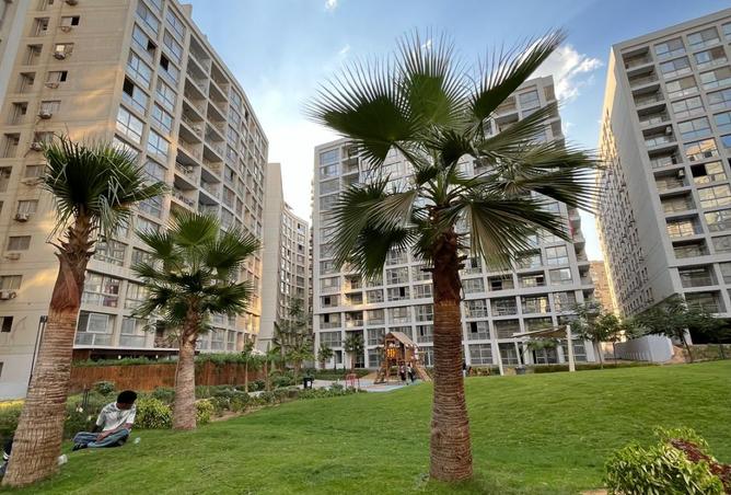 8129428 - Property Image 2