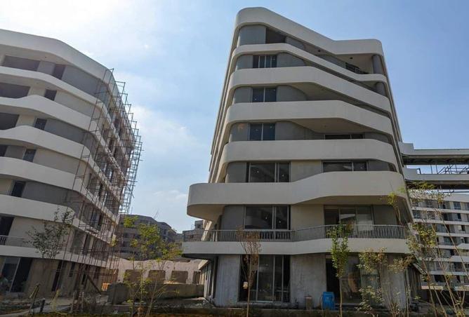 8060039 - Property Image 2