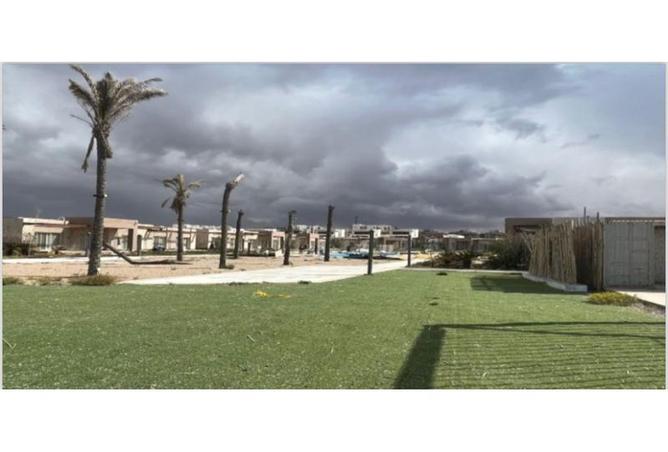 8213361 - صورة العقار 2