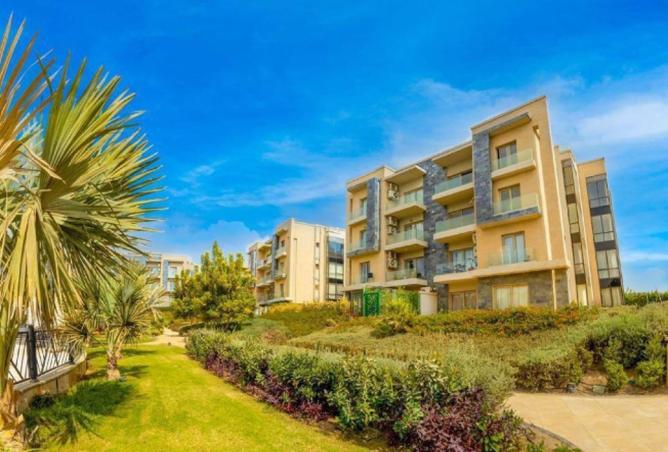 8150053 - Property Image 3