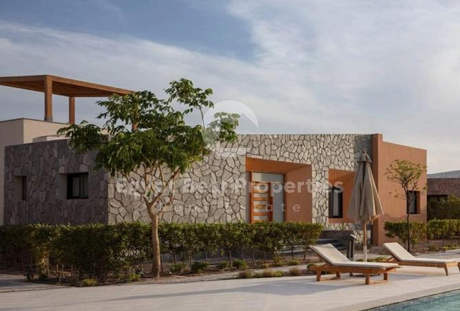 8319686 - Property Image 3