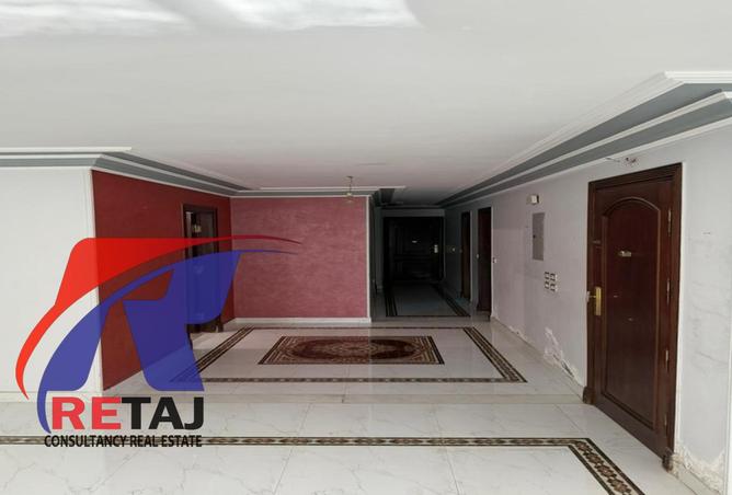 8389234 - Property Image 3