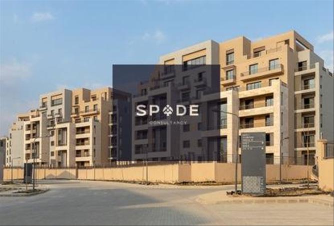 8126962 - Property Image 3
