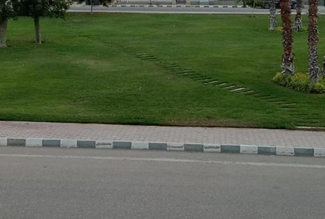 8445861 - Property Image 2