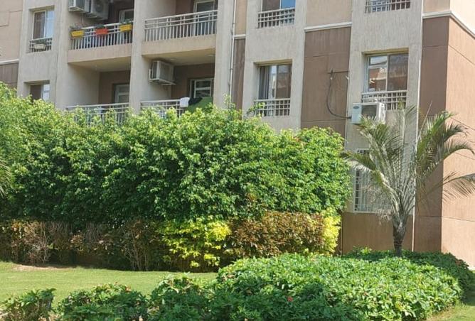 8341486 - Property Image 3