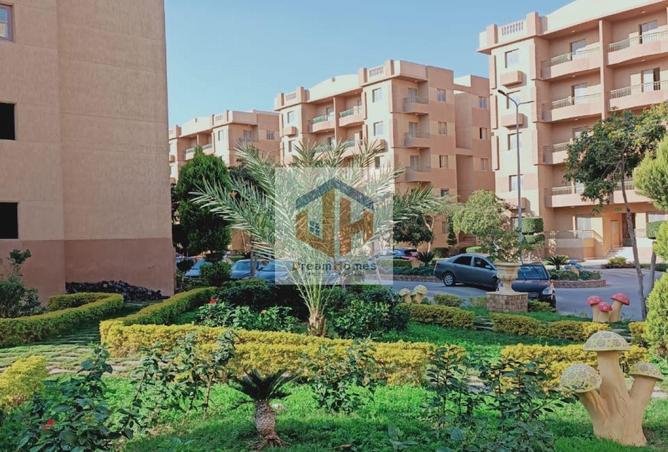 8039672 - صورة العقار 3