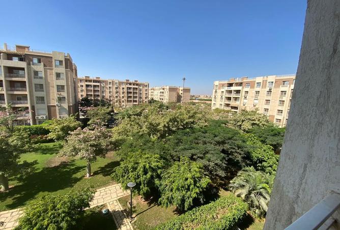 7995039 - صورة العقار 2