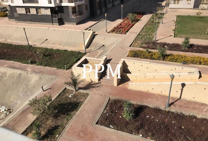 8462719 - صورة العقار 2