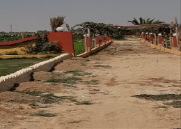Farm for sale in Fayoum ..........................