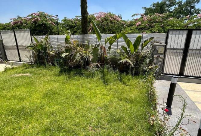 8079589 - Property Image 2