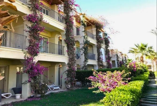 8334673 - Property Image 3