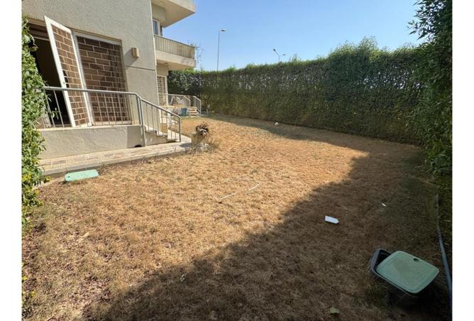 8193146 - صورة العقار 2