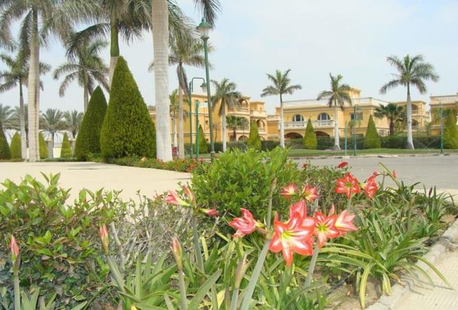 8417089 - Property Image 3