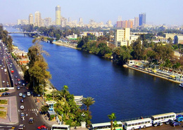 Building For sale Zamalek (Investment opportunity)