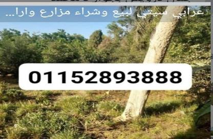 قطعة أرض - استوديو للبيع في جمعية احمد عرابى - مدينة العبور - القليوبية