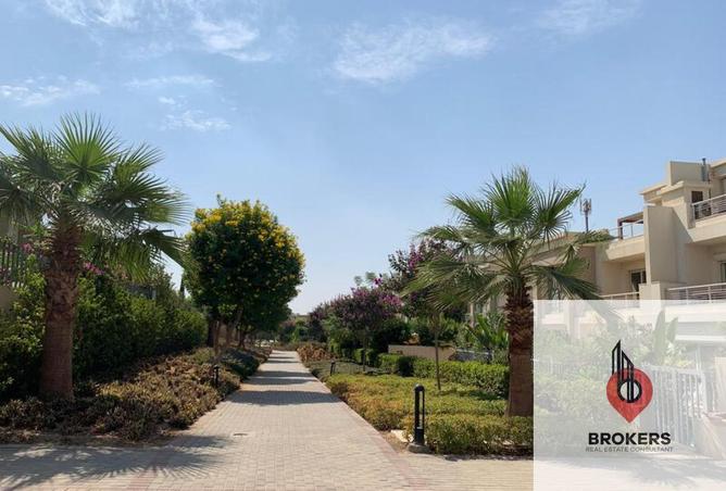 8209096 - صورة العقار 3