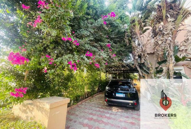 7994172 - صورة العقار 2