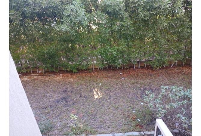 8193239 - صورة العقار 2