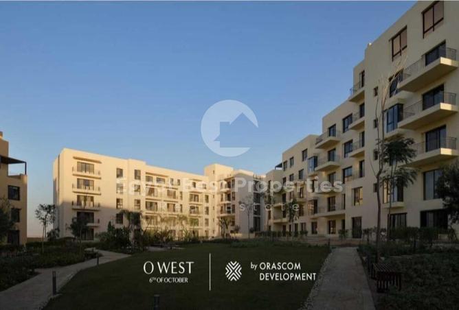 8045463 - Property Image 3