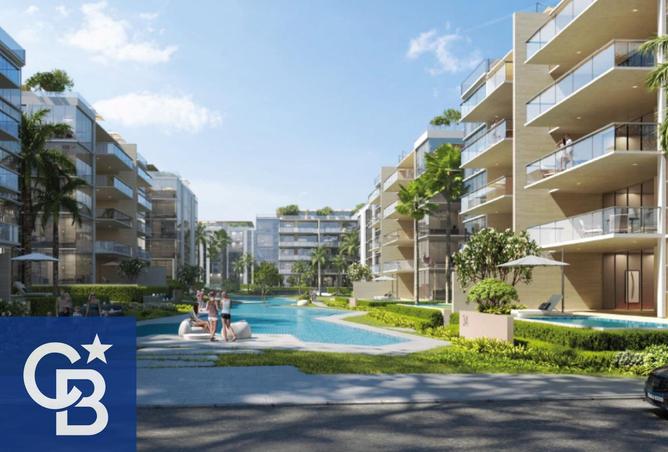 8403069 - Property Image 3