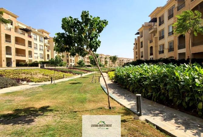 8389956 - Property Image 3