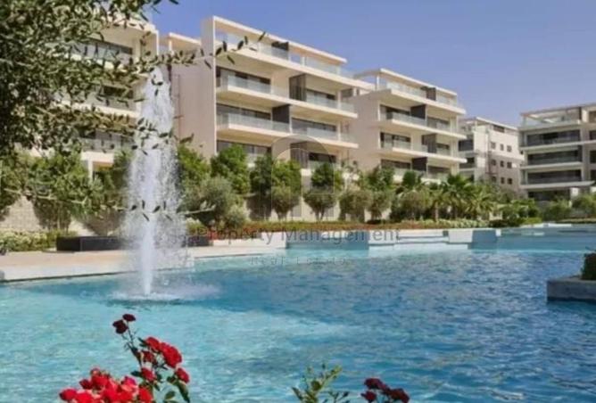 8242569 - Property Image 3