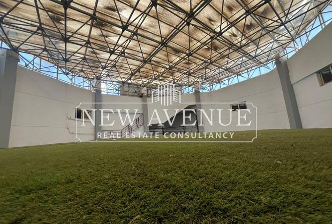 8271528 - صورة العقار 3