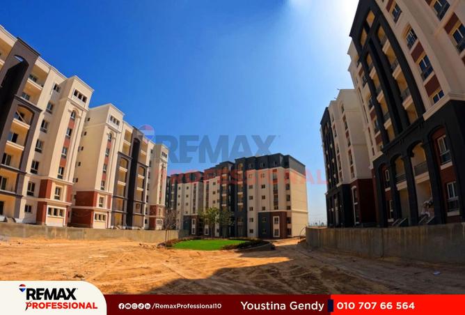 8427521 - Property Image 3