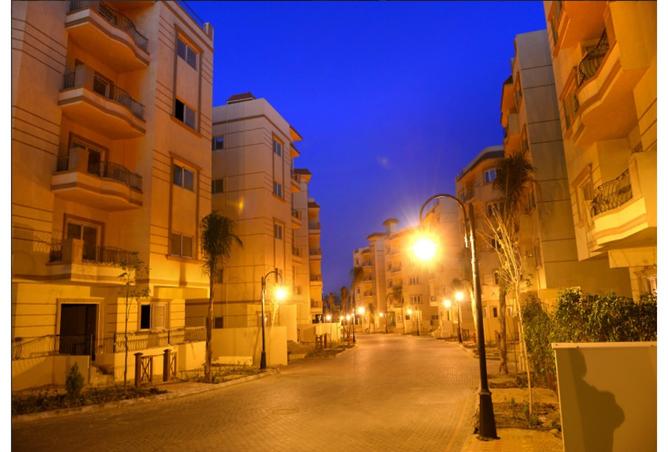 7975728 - Property Image 2