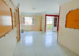 Apartment - 3 bedrooms for للايجار in Mohamed Shafik Ghorbal St. - Camp Chezar - Hay Wasat - Alexandria