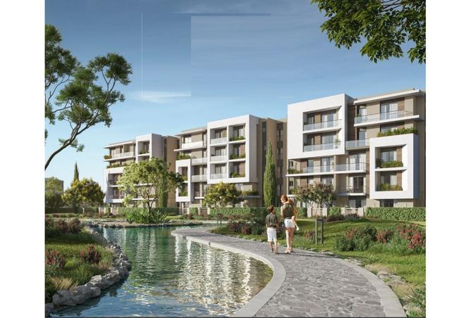 7913884 - Property Image 3