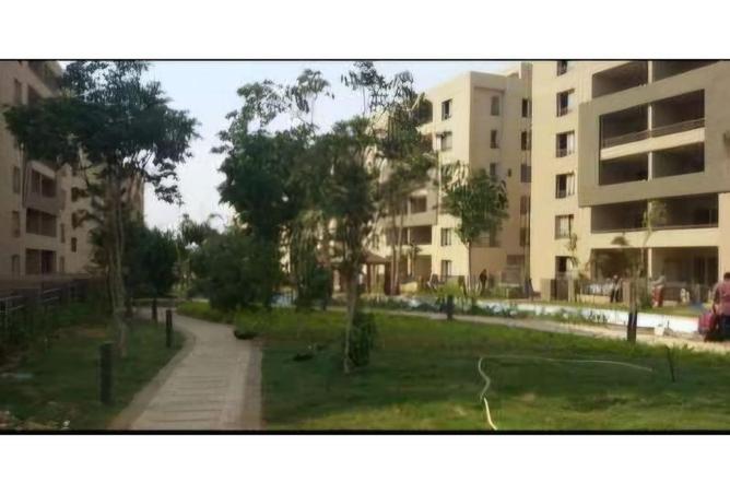 7683280 - Property Image 2