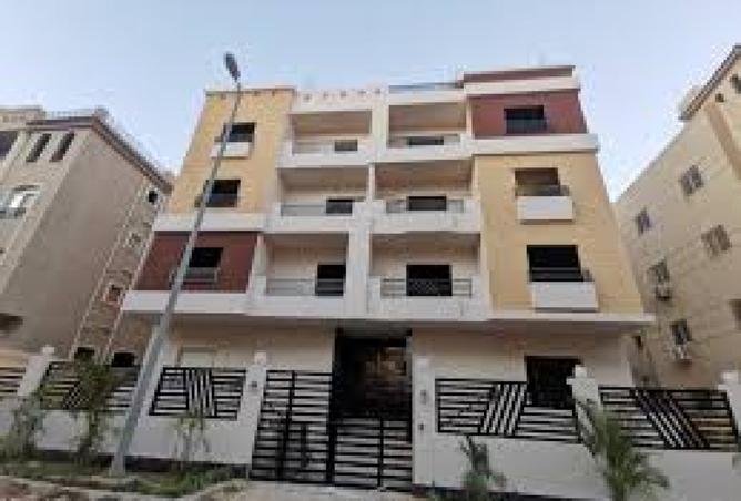 8337638 - Property Image 2