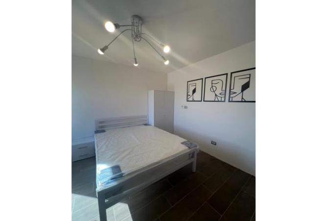 7942344 - Property Image 2