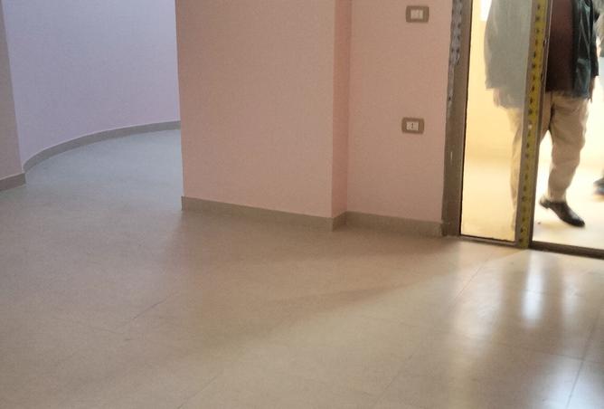 8407969 - Property Image 3