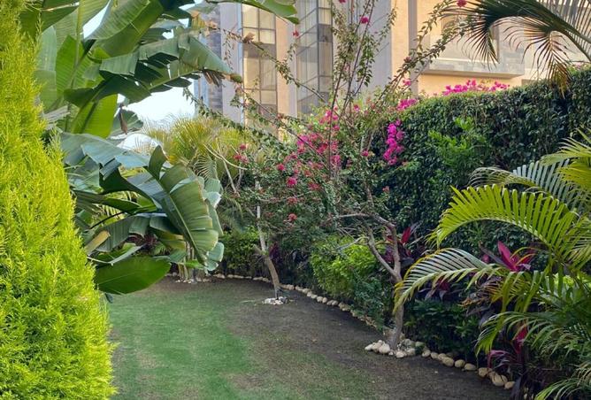 8501091 - صورة العقار 3