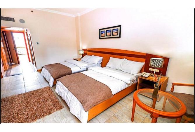 8205965 - صورة العقار 3