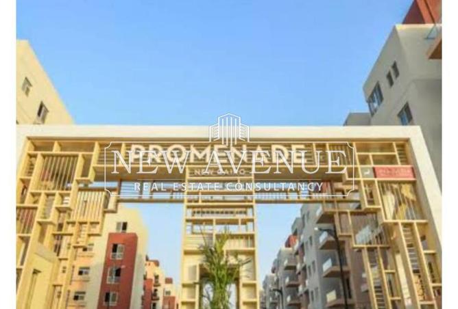 8338947 - Property Image 3