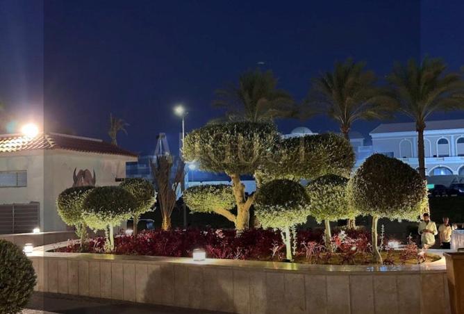 8023025 - صورة العقار 3
