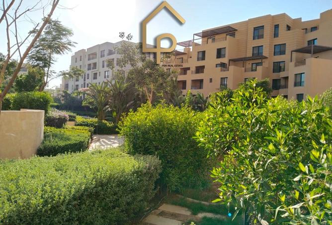 8402596 - صورة العقار 3