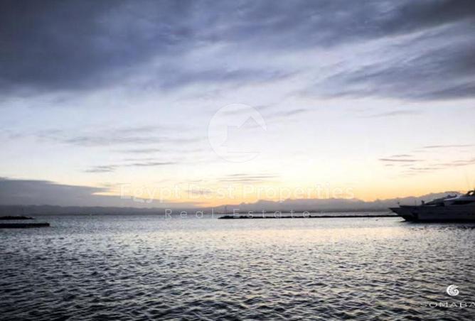 8179890 - Property Image 3