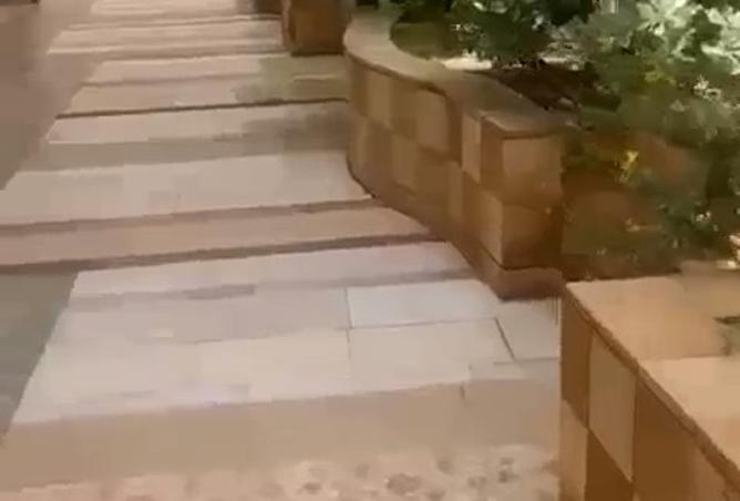 8041596 - صورة العقار 2