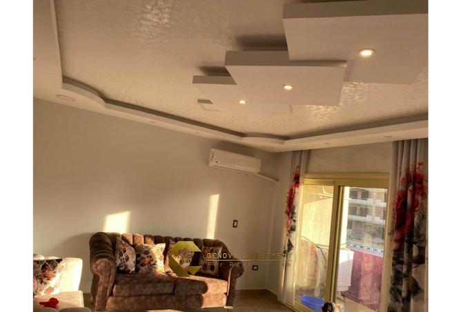 7995059 - Property Image 3