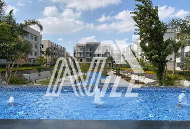 8089275 - Property Image 3