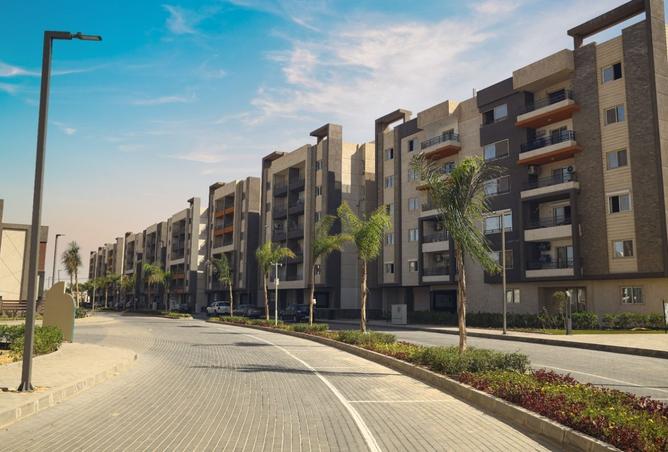 8403055 - صورة العقار 3