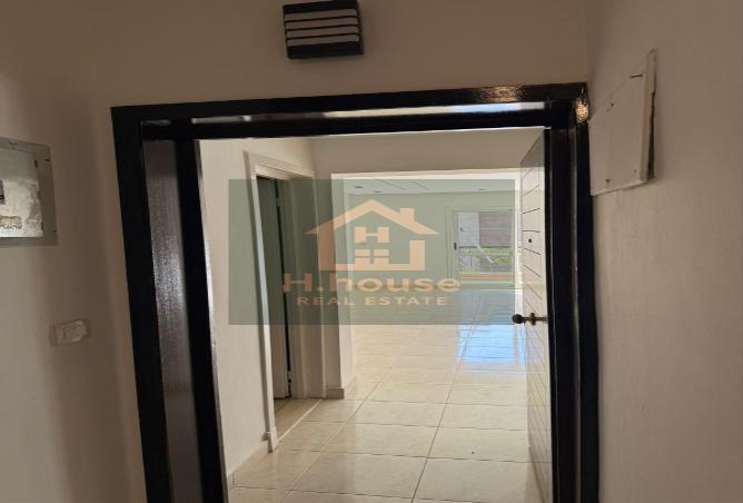 8451968 - Property Image 3