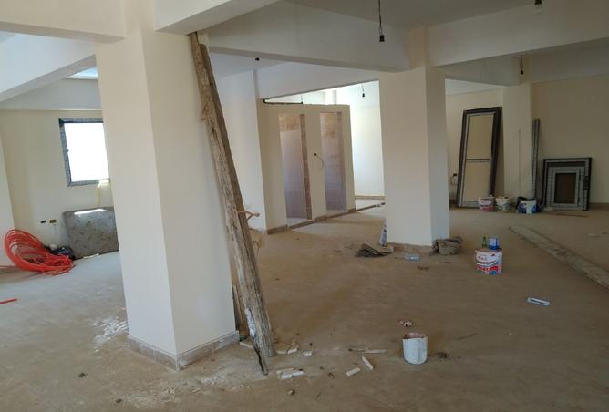 8479879 - Property Image 3