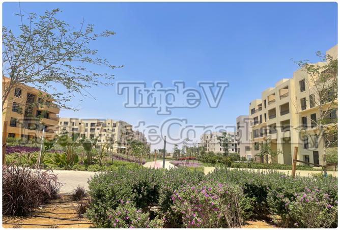 7987063 - Property Image 2