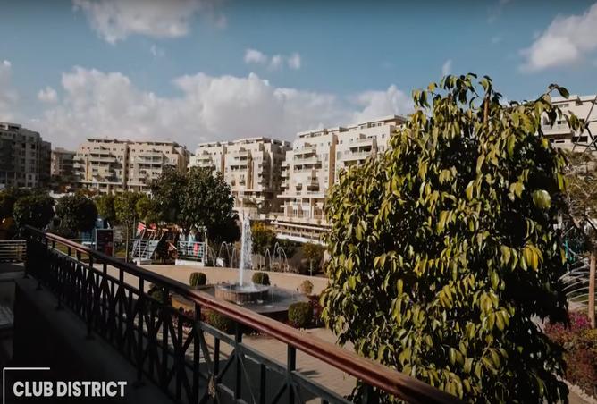 7969895 - صورة العقار 2