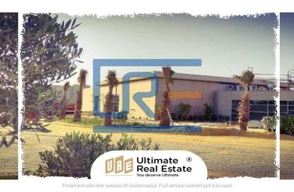 Chalet - 3 Bedrooms - 4 Bathrooms for sale in Swan Lake - Qesm Ad Dabaah - North Coast